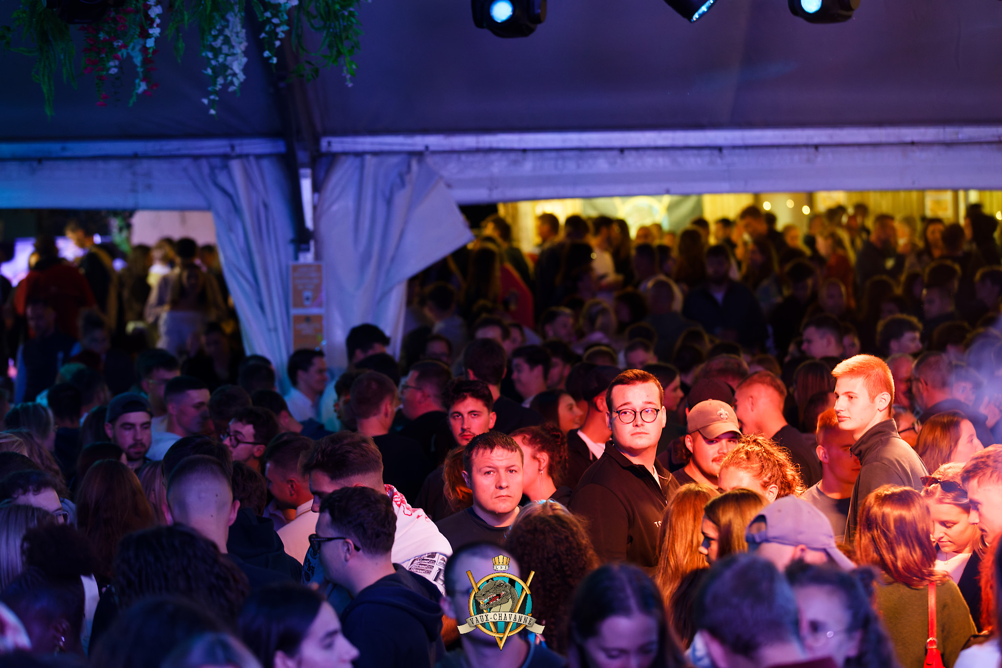 Photo 242